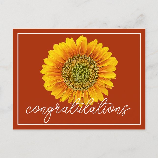 Postal Enhorabuena al Naranja amarillo de girasol (Anverso)