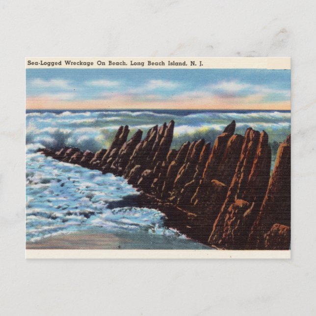 Postal Enojo marino, Long Beach Island, Nueva Jersey (Anverso)