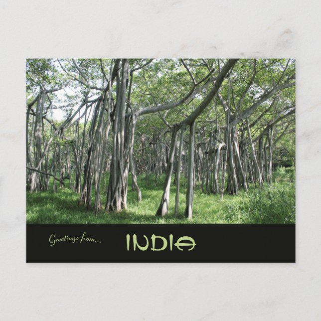 Postal Enormes árboles de Banyan Chennai Tamil Nadu India (Anverso)