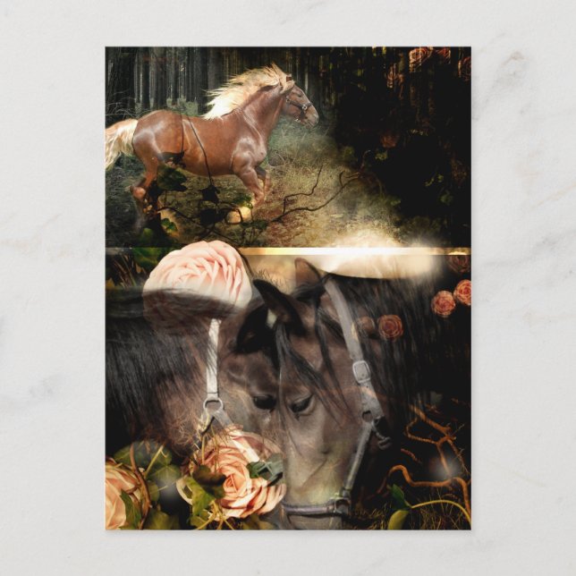 Postal Enraizados en el amor de Dios (Anverso)