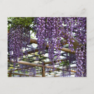 Postal Enrejado de Wisteria: Kameido Tenjin, Tokio