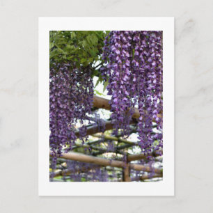 Postal Enrejado de Wisteria: Kameido Tenjin, Tokio