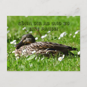 Postal Ente auf einer Wiese Postkarte