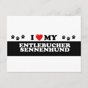POSTAL ENTLEBUCHER SENNEHUND_