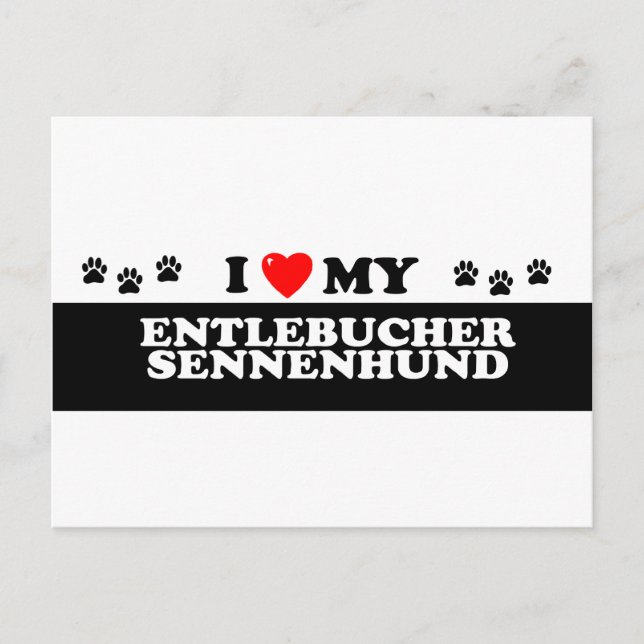 POSTAL ENTLEBUCHER SENNEHUND_ (Anverso)