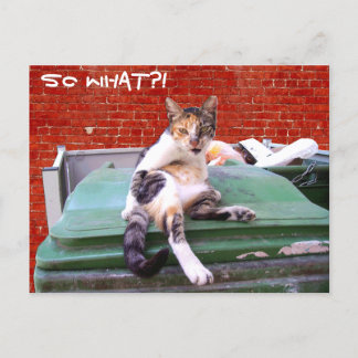 Postal Entonces qué