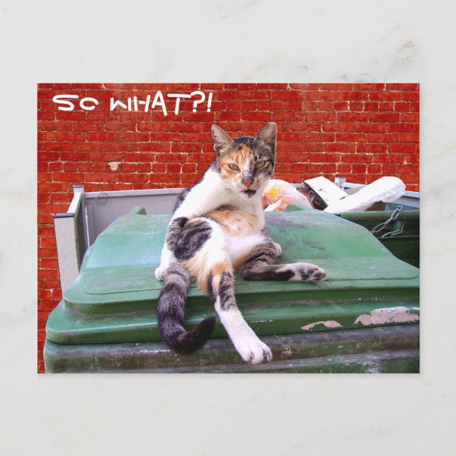 Postal Entonces qué (Anverso)