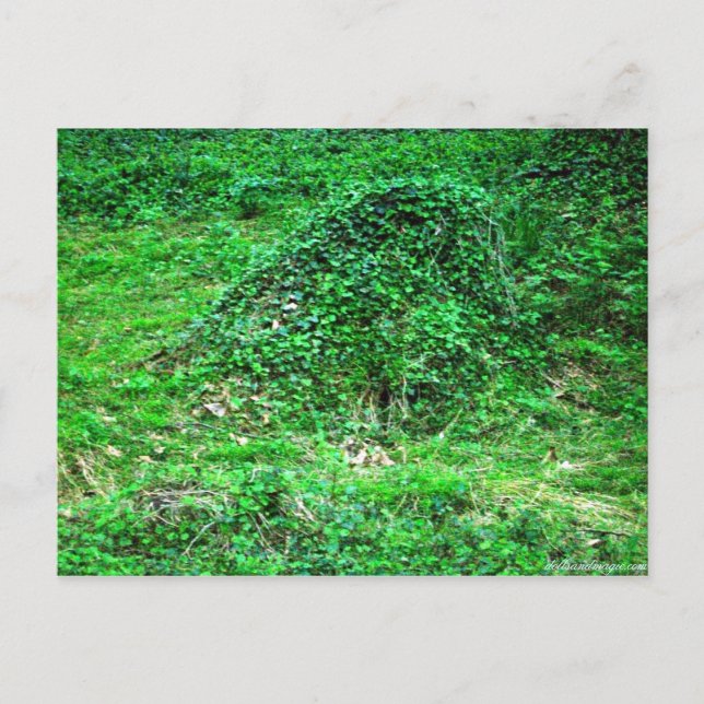 Postal Entrada a Faery I (Anverso)