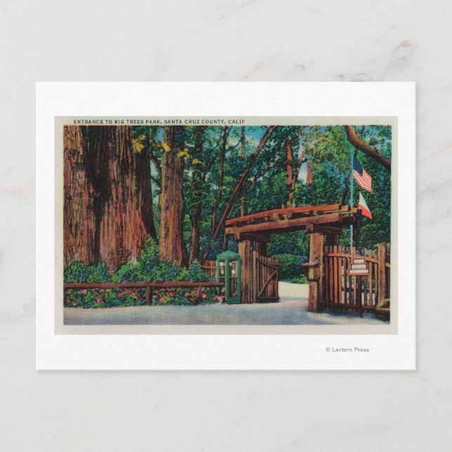 Postal Entrada al Parque de los Grandes Árboles, Condado  (Anverso)
