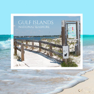 Postal Entrada de playa Johnson, Islas del Golfo NS, Flor