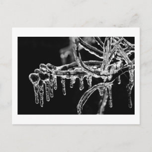 Postal entrar invierno helado