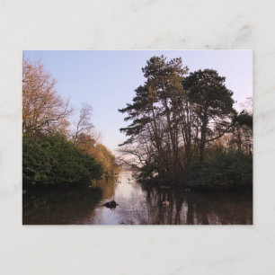 Postal Entre Las Islas, El Lago Roath Park, Cardiff.