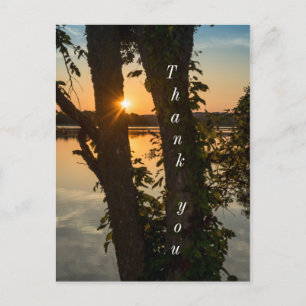 Postal Entre los árboles Sunrise Gracias Postcard