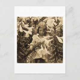 Postal Entre los Lillies - Esterovisión vintage