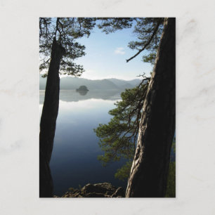 Postal Entre los pinos en Keswick