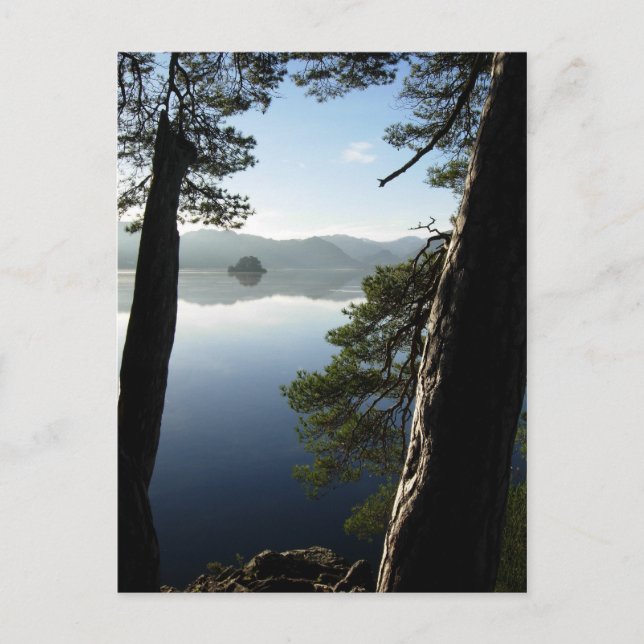 Postal Entre los pinos en Keswick (Anverso)