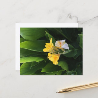 Postal Entrega de flores