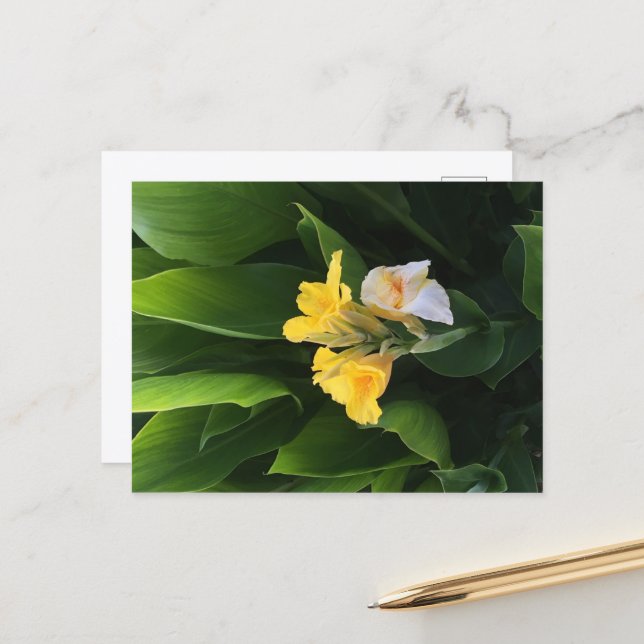 Postal Entrega de flores (Anverso/Reverso In Situ)