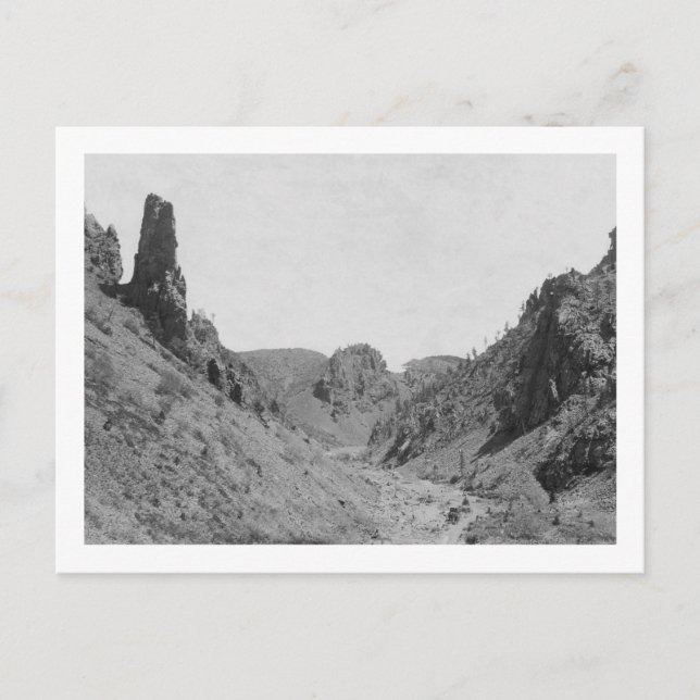 Postal Entrenador de caballos en foto de Phantom Ridge (Anverso)