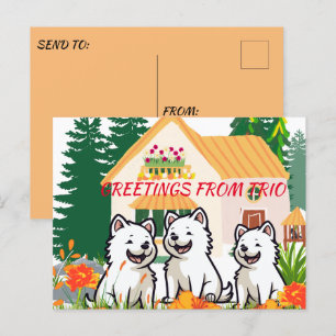 Postal Entrenador de perros Happy Puppies Garden Fiesta P