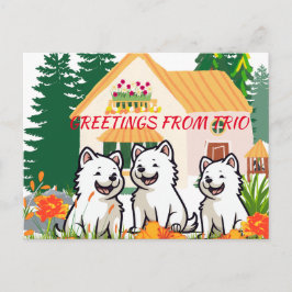 Postal Entrenador de perros Happy Puppies Garden Fiesta P