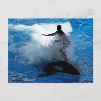 Postal Entrenador montando en una fotografía de orcas de 