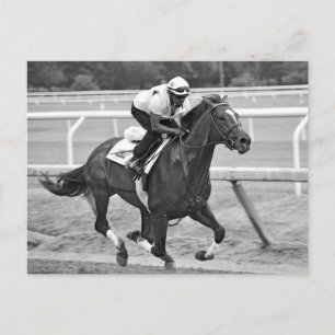 Postal Entrenamientos de Ken McPeek en Saratoga