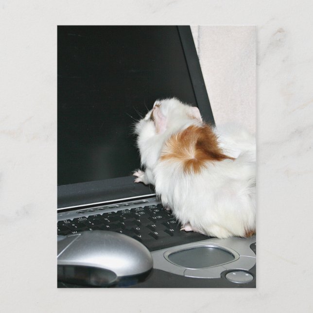 Postal ¡Envíame un correo electrónico! (Anverso)