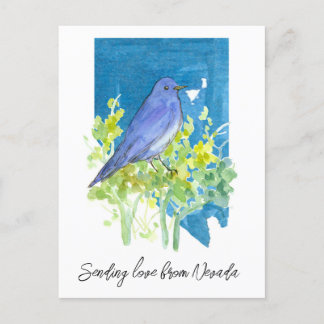 Postal Enviando a Love Nevada Bluebird Sagebrush