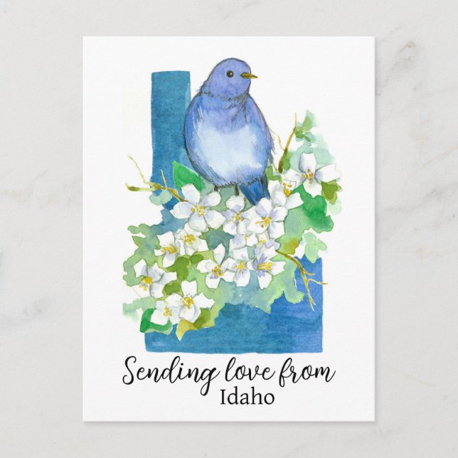 Postal Enviando Amor De Idaho Bluebird (Anverso)