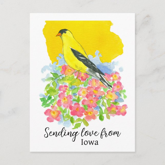 Postal Enviando Amor De Iowa Goldfinch Prairie Rosa (Anverso)