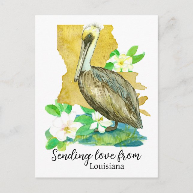 Postal Enviando amor desde Louisiana Pelican Magnolia (Anverso)