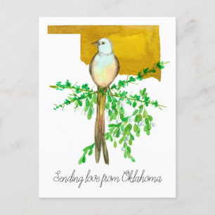 Postal Enviando amor desde Oklahoma Scissor tail Flycatch