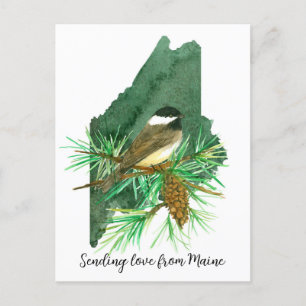 Postal Enviando amor Maine Chickadee Pinecone Tassel