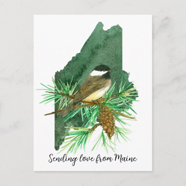 Postal Enviando amor Maine Chickadee Pinecone Tassel (Anverso)