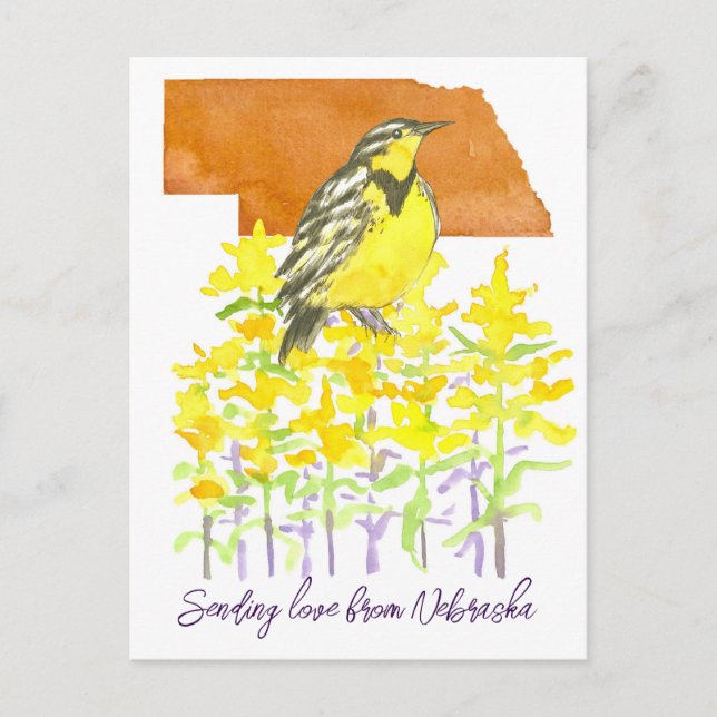 Postal Enviando amor Nebraska Meadowlark Flores Goldenrod (Anverso)