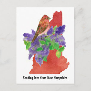 Postal Enviando amor New Hampshire Purple Finch Lilac