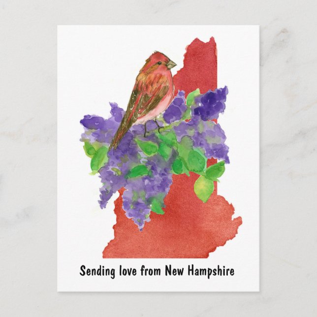 Postal Enviando amor New Hampshire Purple Finch Lilac (Anverso)