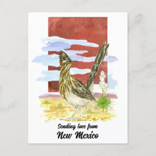 Postal Enviando amor Nuevo México Road Runner Yucca Flowe