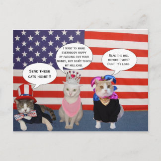 Postal ¡Envíen estos gatos a casa!