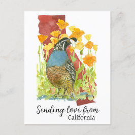 Postal Envío De Amor De Los Cuales De California