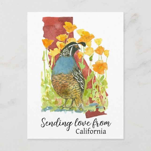 Postal Envío De Amor De Los Cuales De California (Anverso)