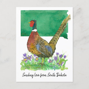 Postal Envío de amor Flower Pasque Pheasant Dakota del Su