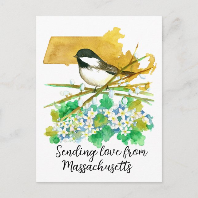 Postal Envío de amor Massachusetts Chickadee Mayflower (Anverso)