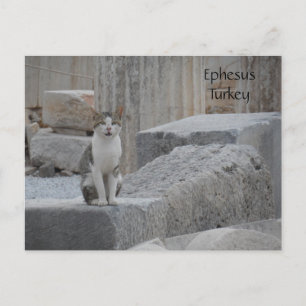 Postal Ephesus Cat