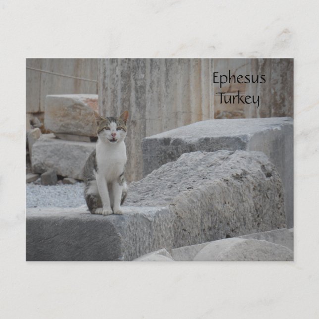 Postal Ephesus Cat (Anverso)