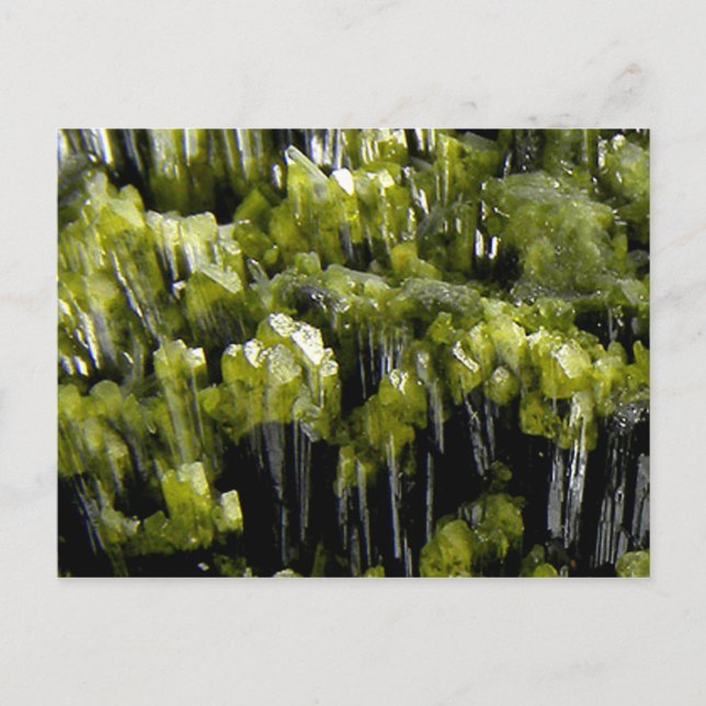 Postal Epidoto (Anverso)