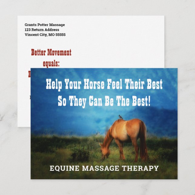 Postal Equine Massage Therapist Horse Business Mailer (Anverso / Reverso)