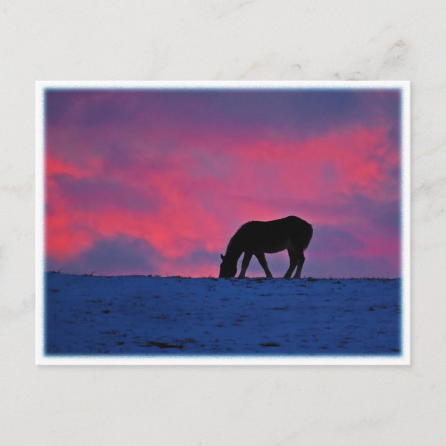 Postal Equine Silhouette (Anverso)