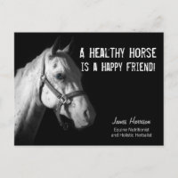 Equine Specialist for Horse Business Clients Postc